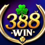 388 Win